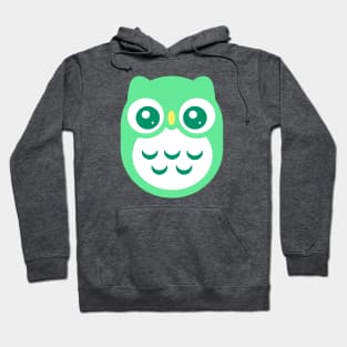 Aqua green Cute baby Owl Hoodie